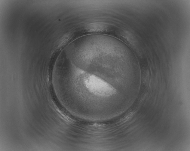 X0000060570261200511031317