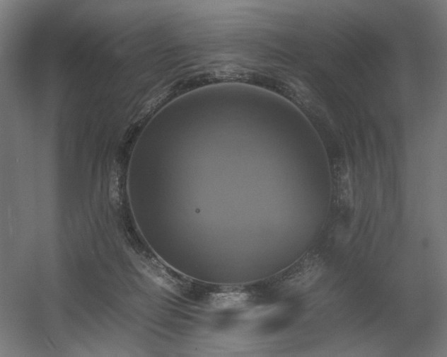 X0000060570266200511031317