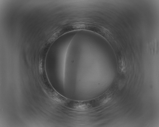 X0000060570267200511031317