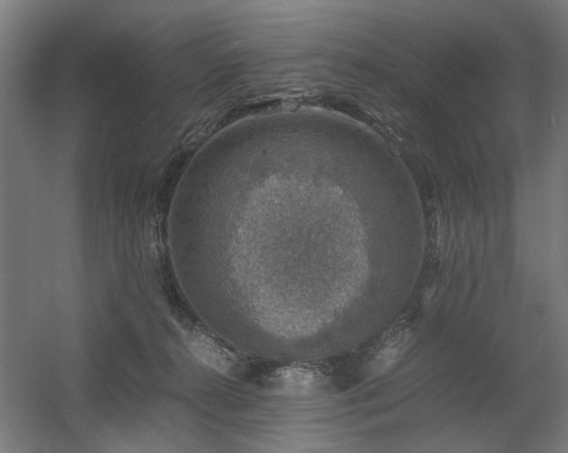 X0000060570272200511031317