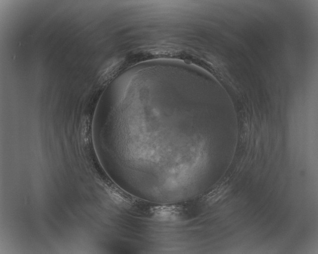 X0000060570273200511031317