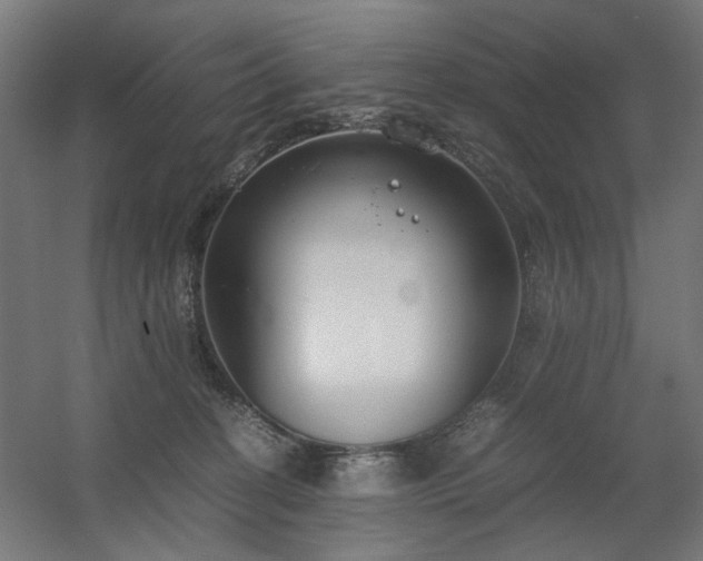 X0000060570274200511031317