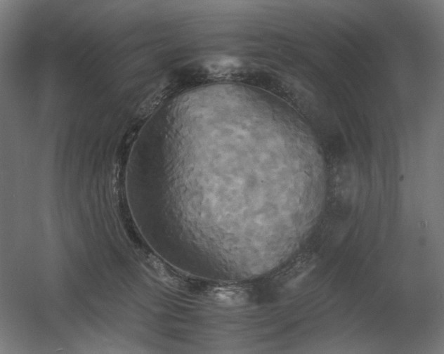 X0000060570275200511031317