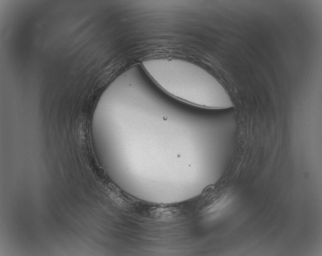 X0000060570277200511031317