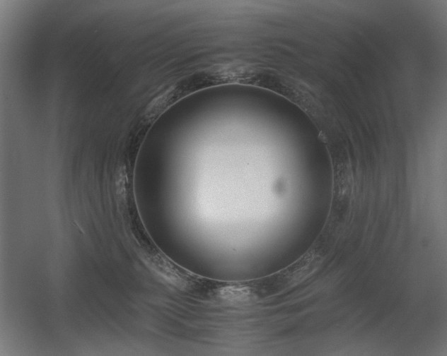 X0000060570279200511031317