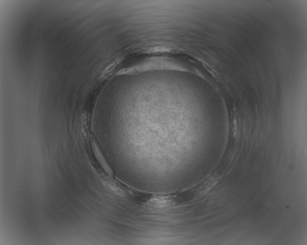 X0000060570280200511031317