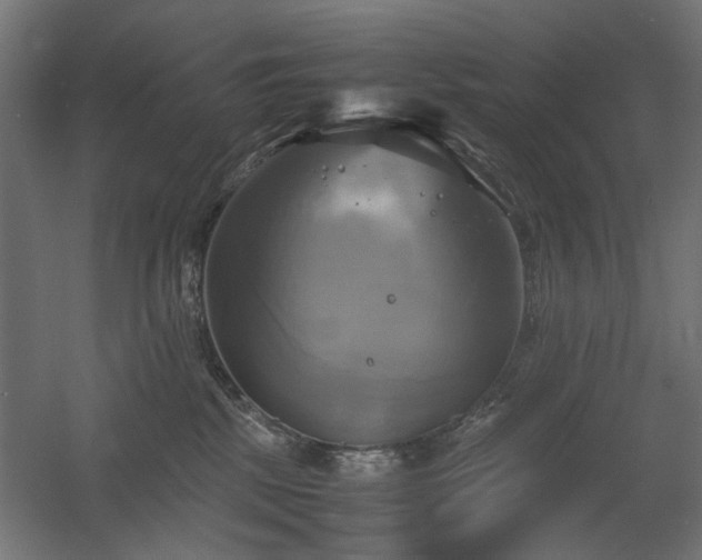 X0000060570281200511031317