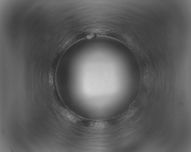 X0000060570282200511031317