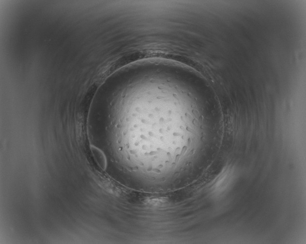 X0000060570283200511031317