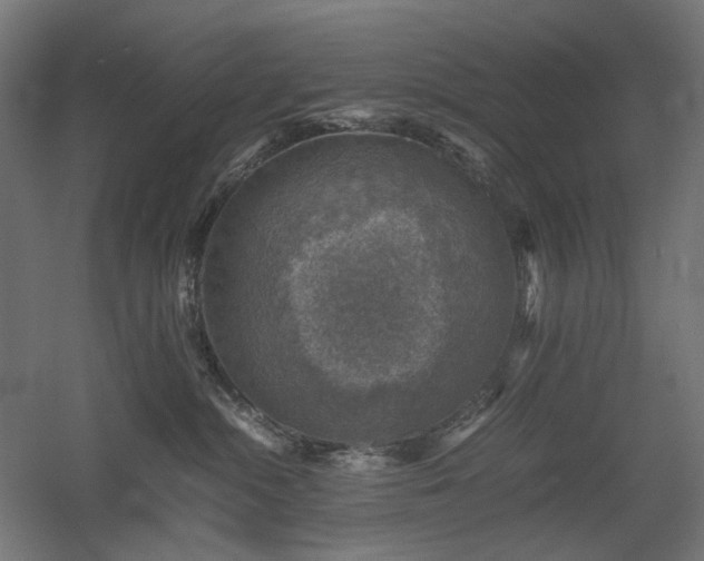 X0000060570284200511031317