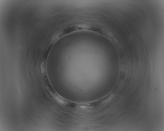 X0000060570285200511031317