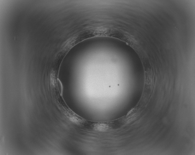 X0000060570287200511031317