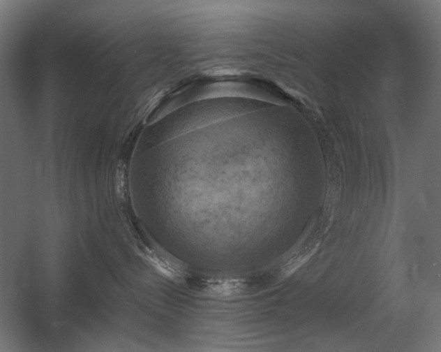 X0000060570288200511031317