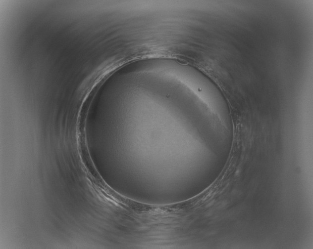 X0000060570290200511031317