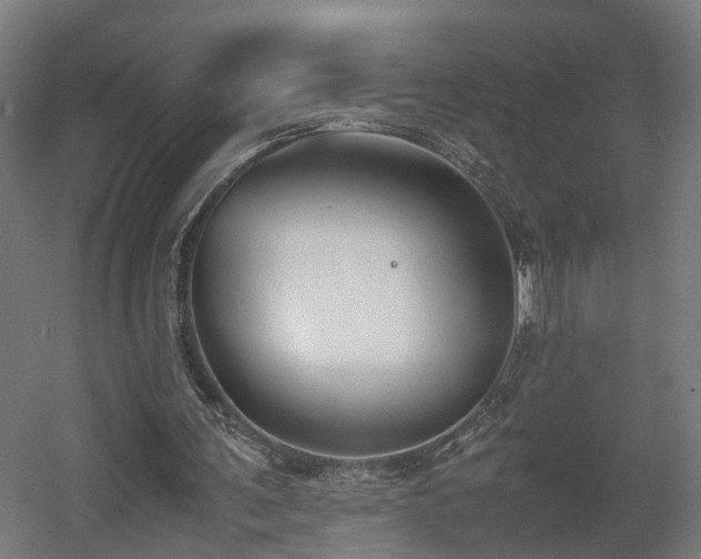 X0000060570291200511031317