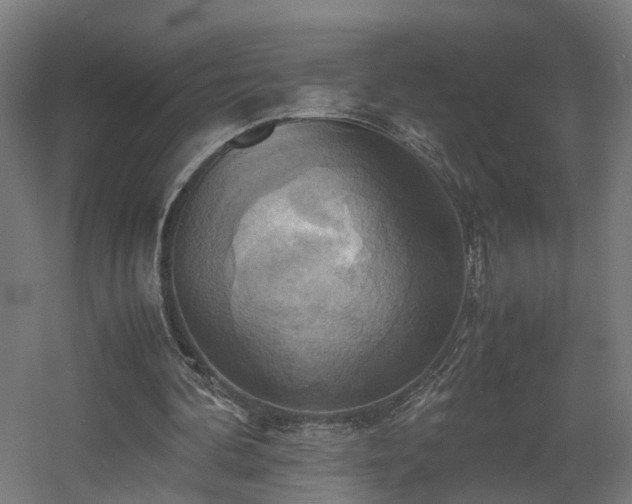 X0000060570292200511031317