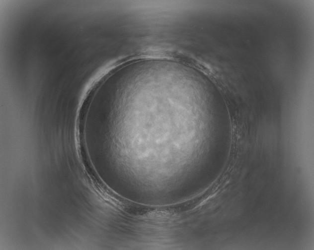 X0000060570294200511031316