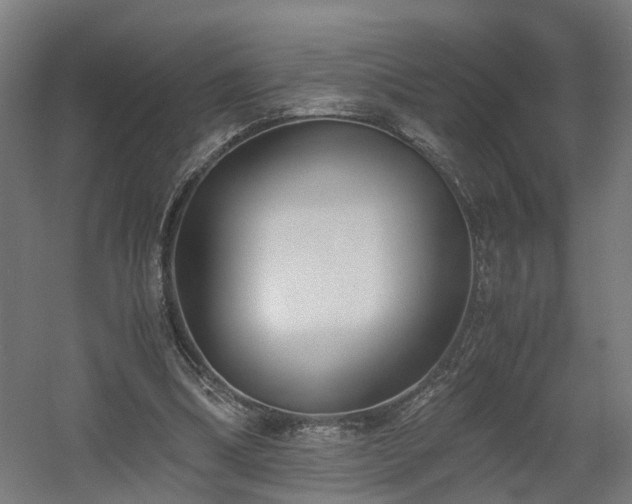 X0000060570298200511031316
