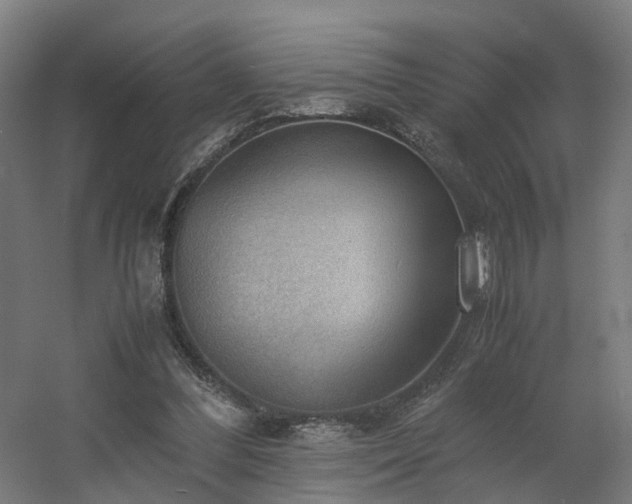 X0000060570300200511031316