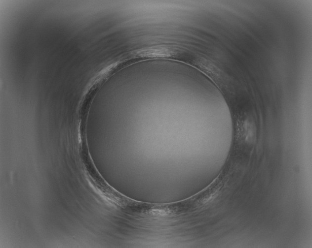 X0000060570302200511031316