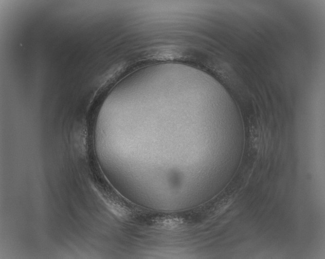 X0000060570304200511031316