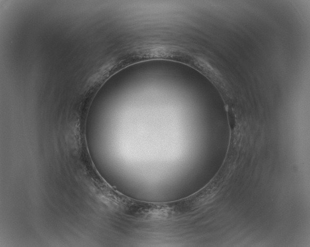 X0000060570306200511031316
