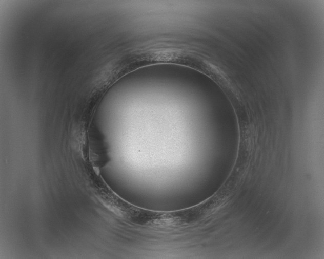 X0000060570307200511031316