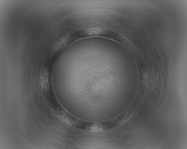 X0000060570308200511031316