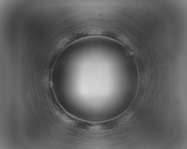 X0000060570309200511031316