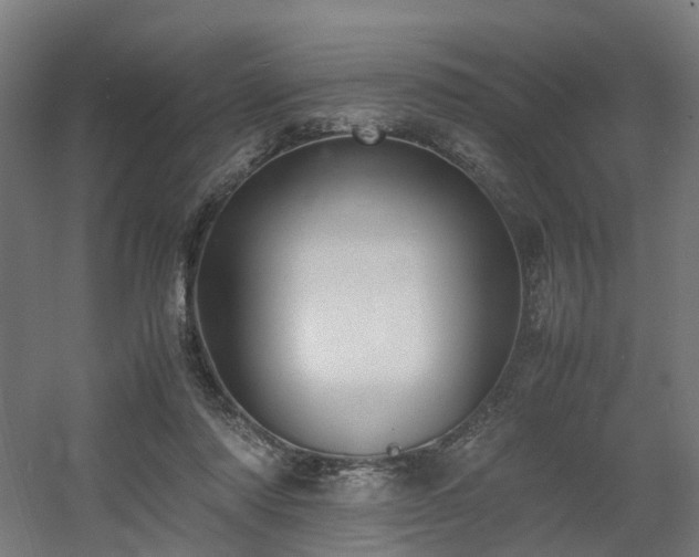 X0000060570310200511031316