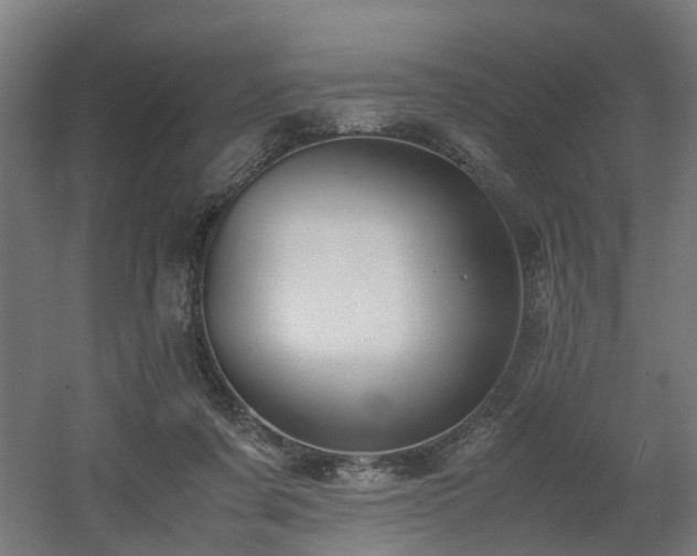 X0000060570311200511031316