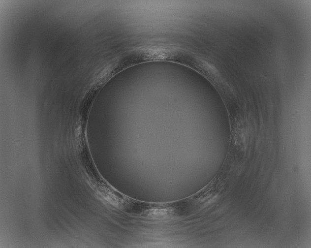 X0000060570314200511031316