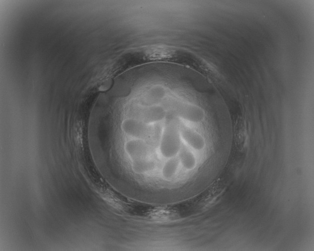 X0000060570315200511031316