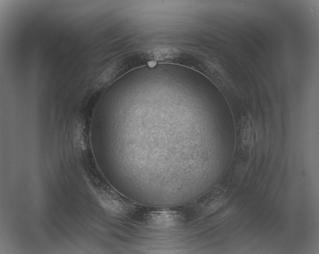 X0000060570316200511031316