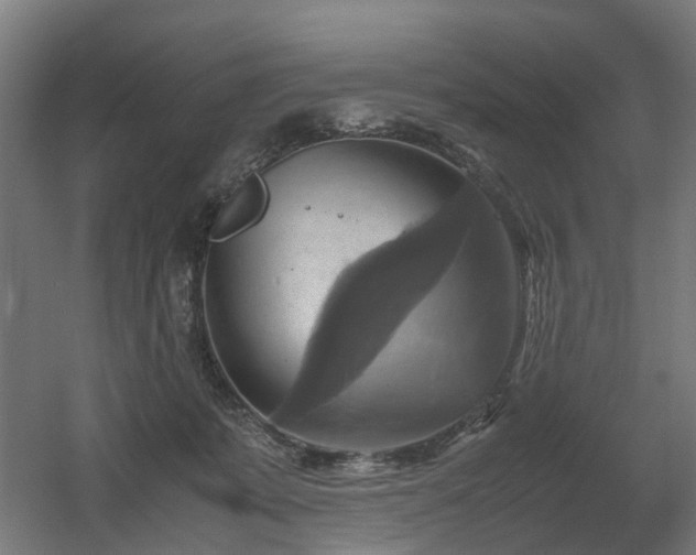 X0000060570319200511031316
