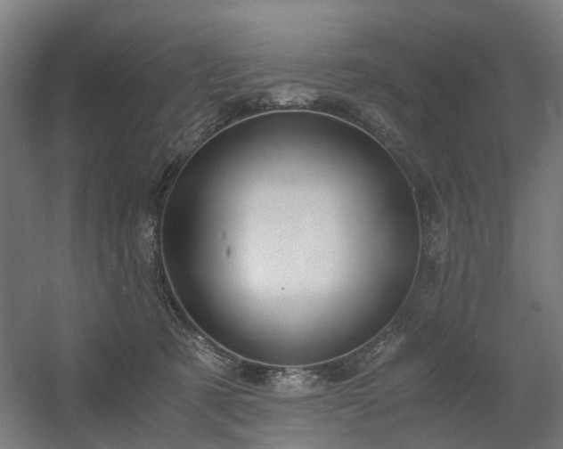 X0000060570321200511031316