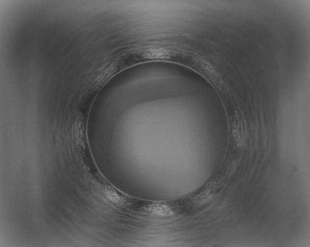 X0000060570322200511031316