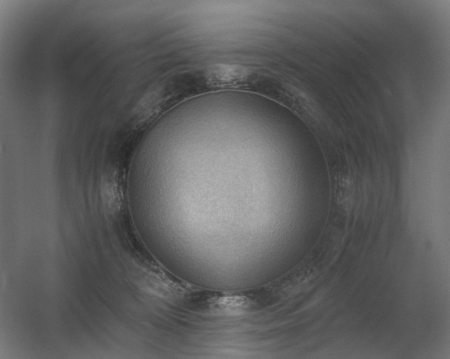 X0000060570324200511031316