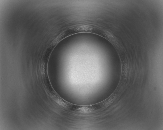 X0000060570326200511031316