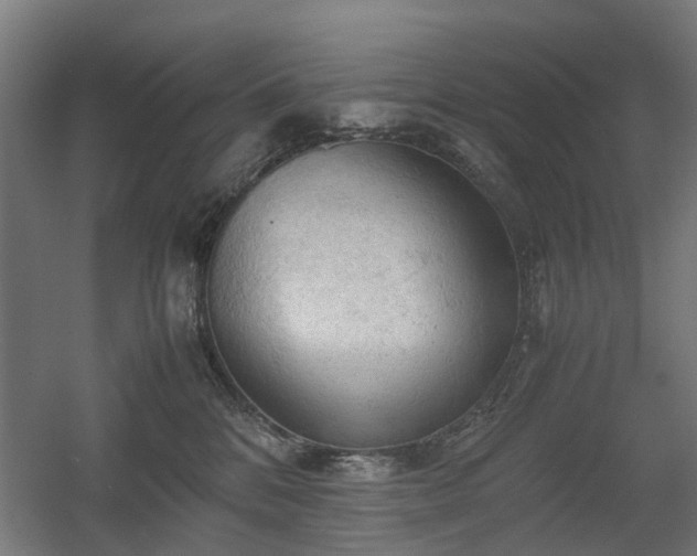 X0000060570328200511031316