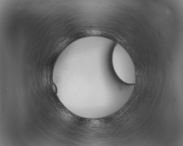 X0000060570330200511031316