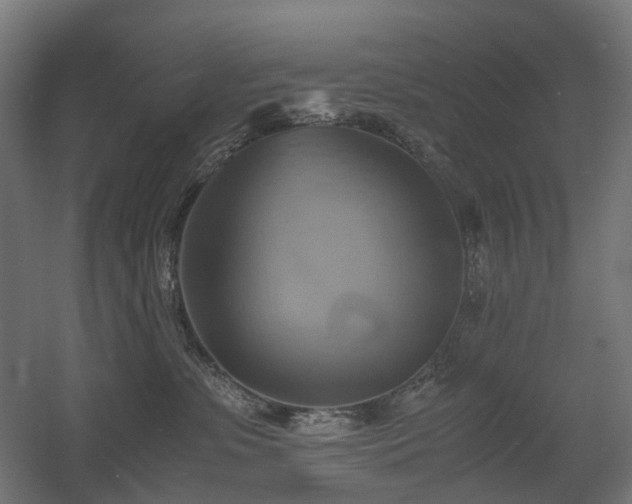X0000060570331200511031316