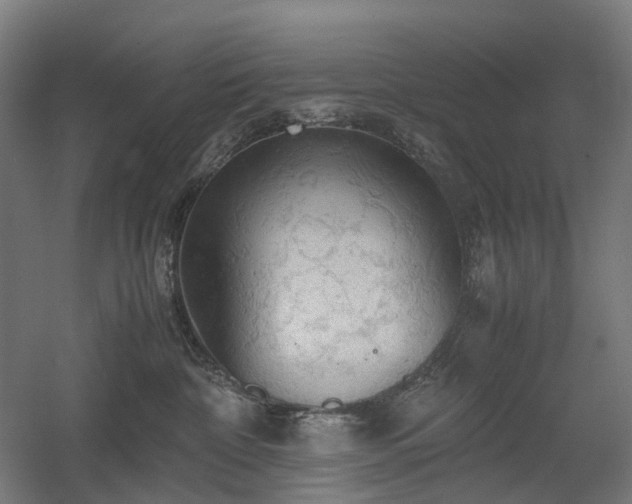 X0000060570332200511031316