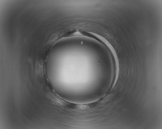 X0000060570333200511031316