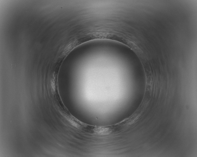 X0000060570334200511031316