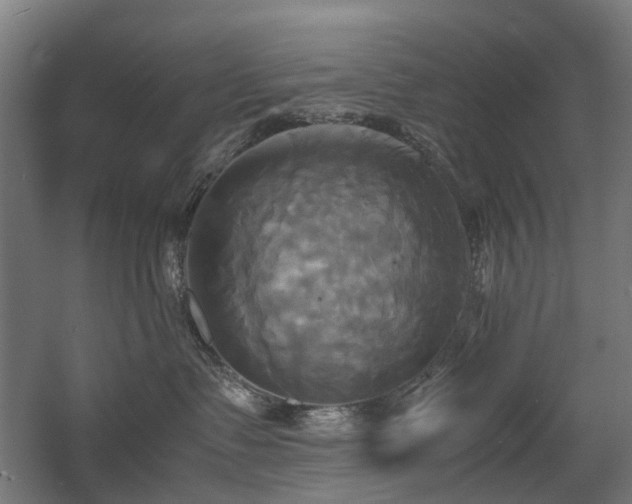 X0000060570335200511031316