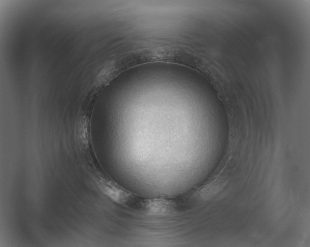 X0000060570336200511031316