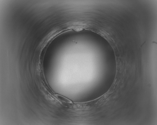 X0000060570338200511031315