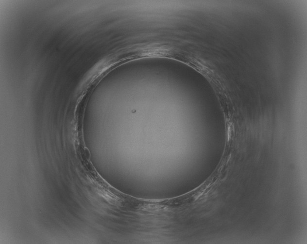 X0000060570339200511031315