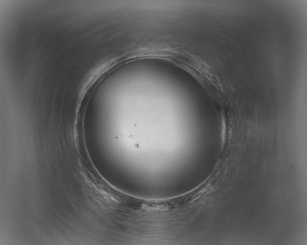 X0000060570340200511031315